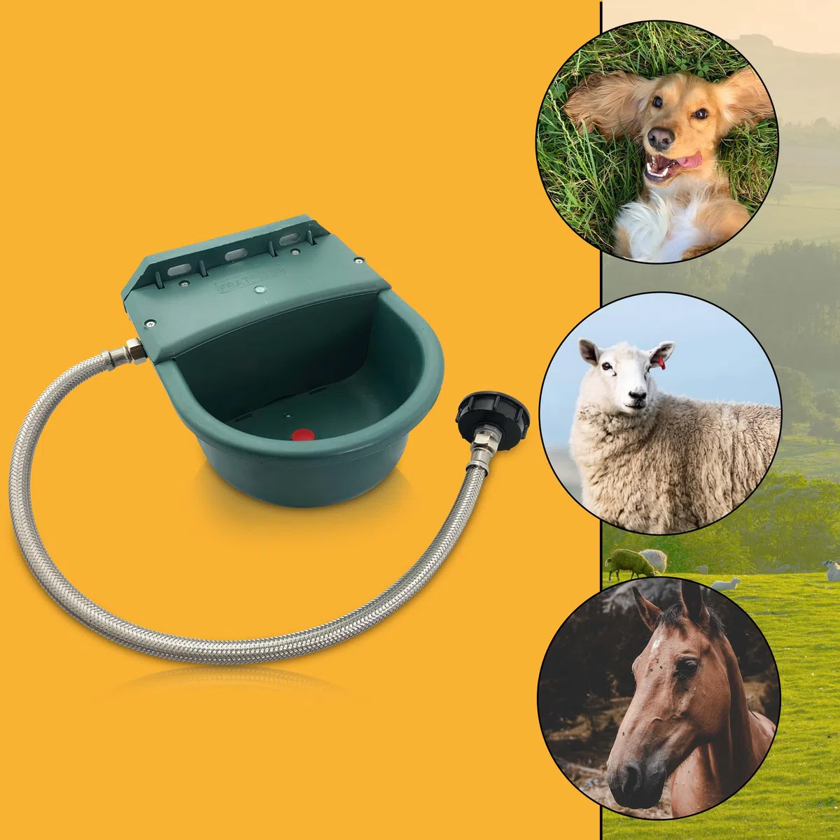 Tränke aus Kunststoff mit Anschlussset IBC Container | 4 Liter | Ideal für Pferde, Rinder, Schafe und Hunde | Schwimmertränke mit Halterungen Tränkebecken