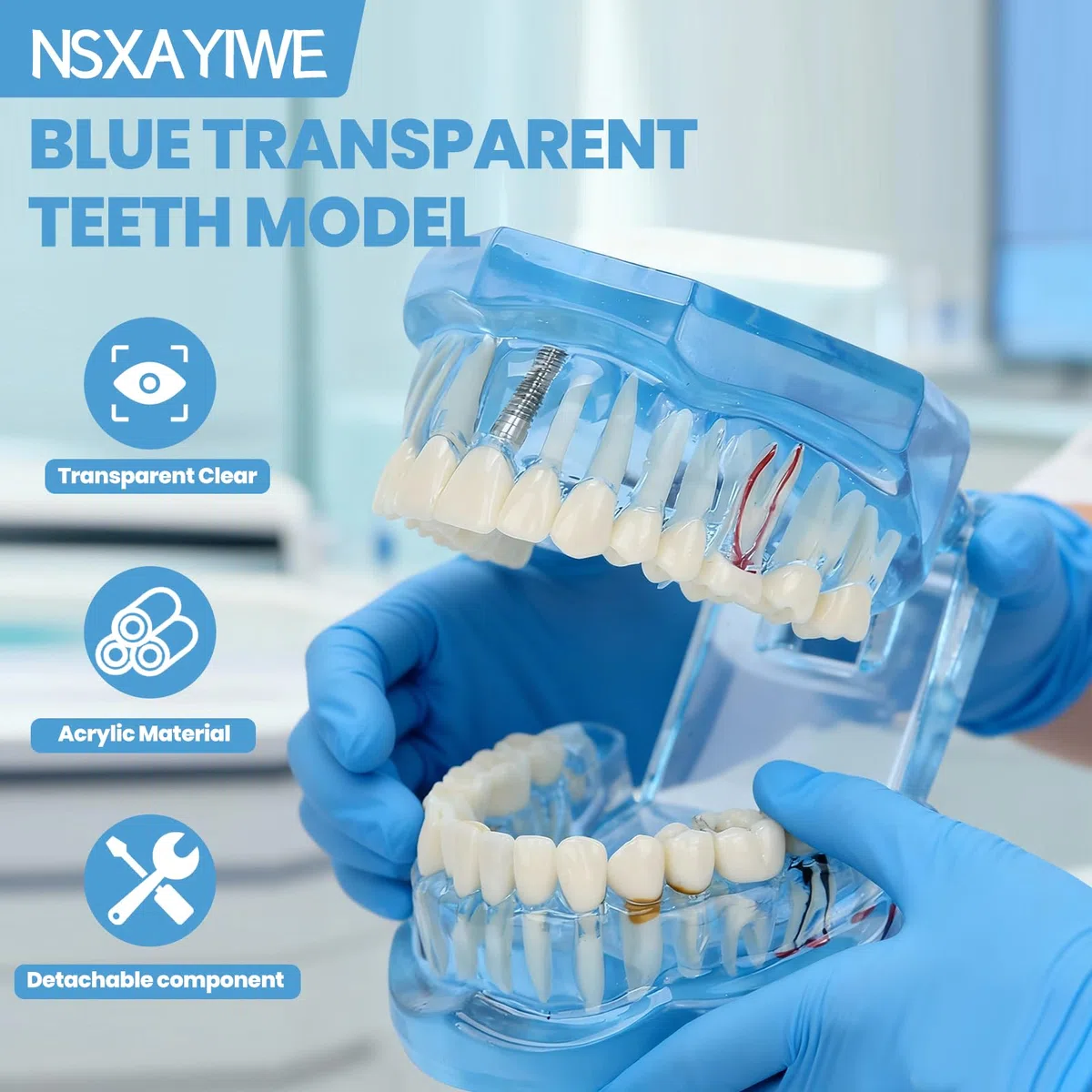 Zahnärztliches Oral-Typodont-Modell, Acryl-Blau-Zahnmodelle, Transparentes Mundmodell, Zahnmodell, Kompatibel Für Zahnmedizinisches Studium, Lehre, Forschung