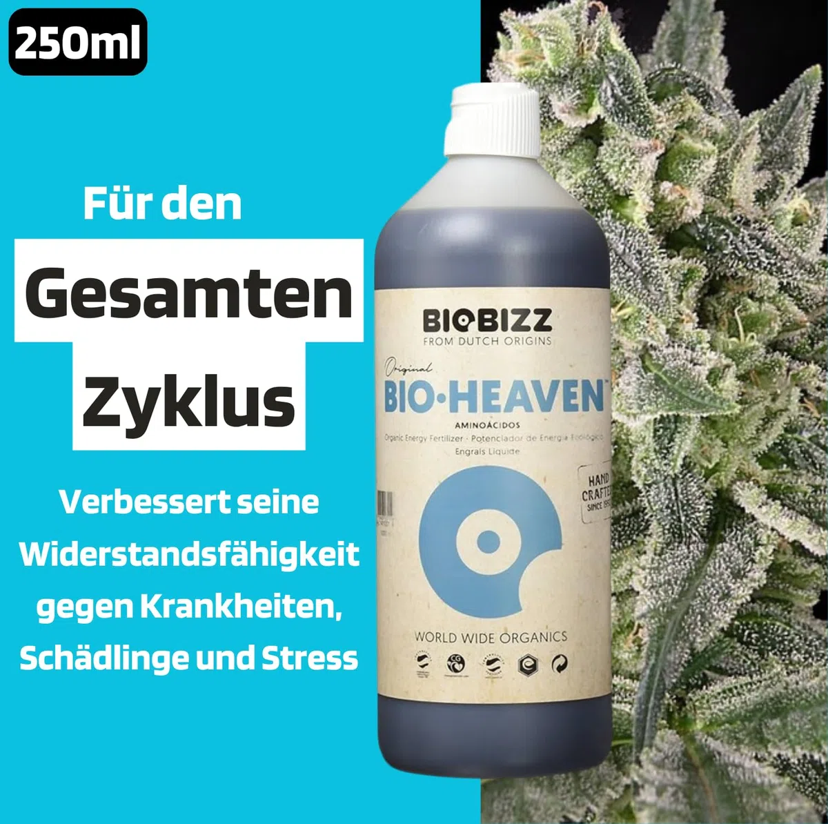 Starter Pack Biobizz Dünger Set | Pflanzendünger Starterset GrowSet Indoor | Naturdünger | Flüssiger