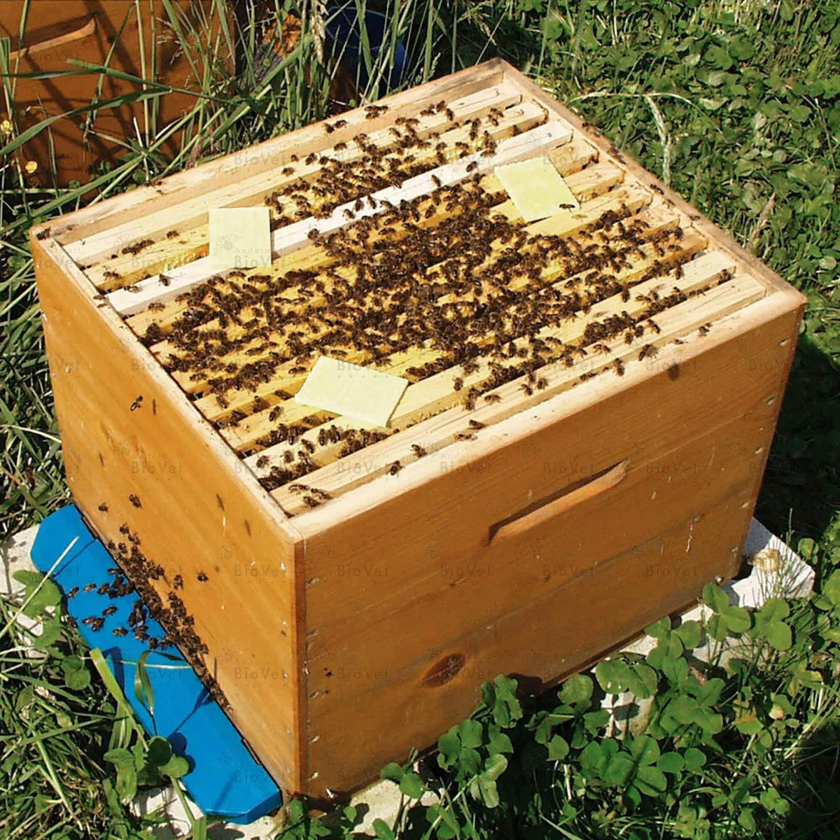 Andermatt BioVet Thymovar - Streifen zur Varroabehandlung bei Honigbienen