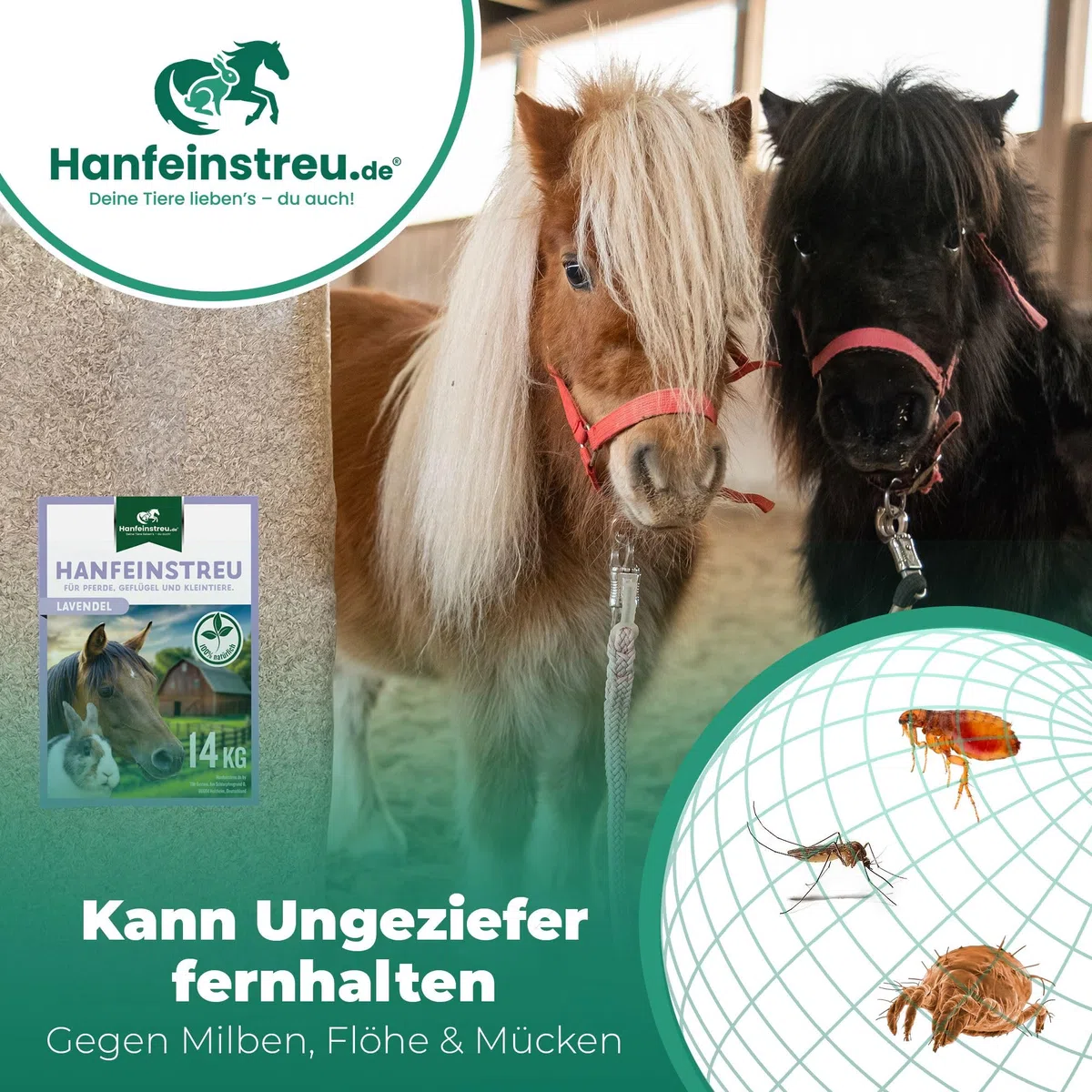 Hanfeinstreu mit Lavendel für Kleintiere, Hühner und Pferde, 140 Liter, 100% Naturprodukt, Extrem Saugfähig, Staubarm, Geruchsbindend, Nachhaltig und Langlebig