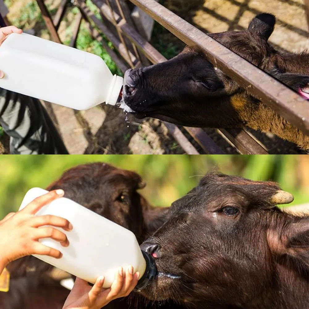 3L Kälberflasche, Kälbermilchflasche Kunststoff mit Silikondüse für Kälber Lämmer Ferkel Bauernhof Tiere (mit Griff)
