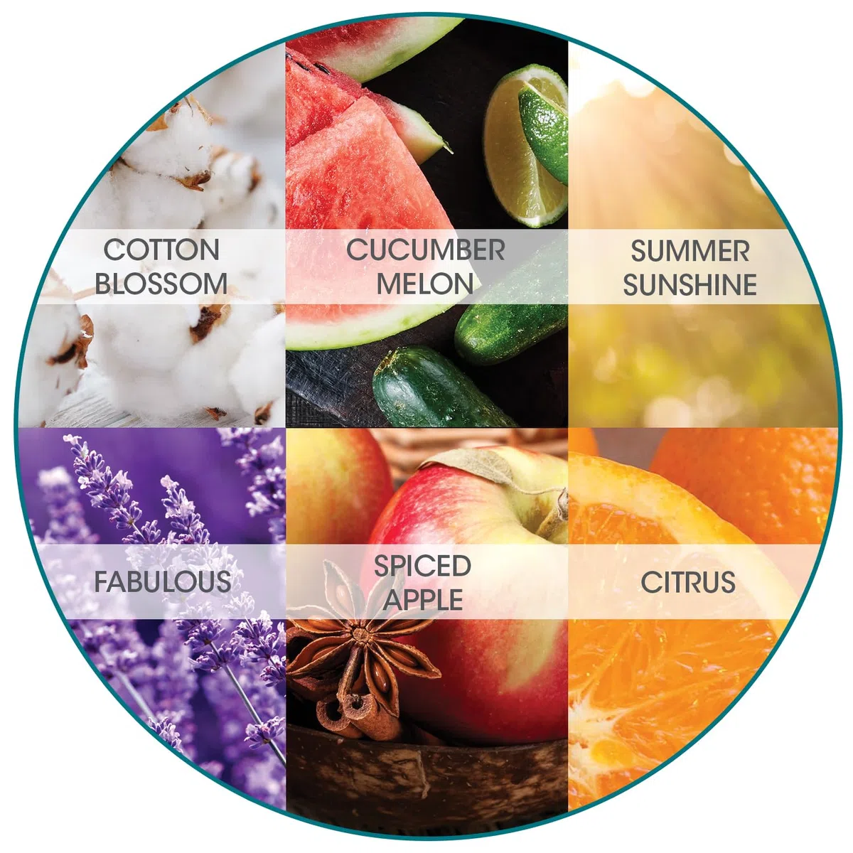 Fresh Products Eco Bowl Clip Lufterfrischer, vielseitiges Design, WC- und Müllerfrischer – chemikalienfreie natürliche Öle – diskret – hält 30 Tage – hergestellt in den USA – 6 Stück
