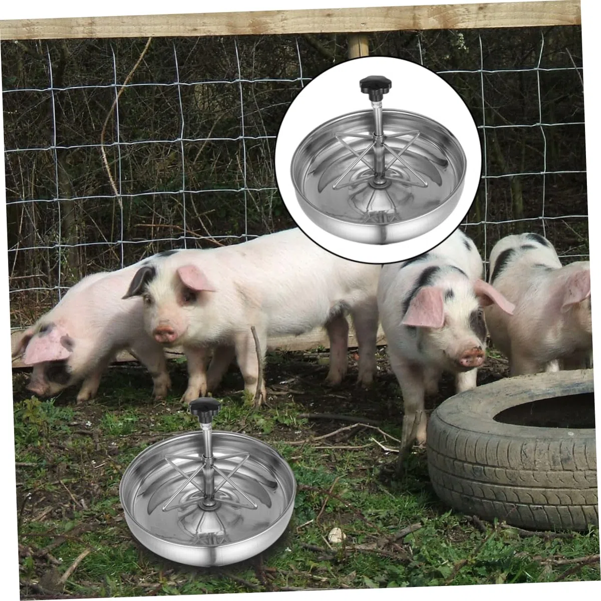 Futtertrog für Leicht zu Reinigen und Rostfrei für Einsatz dem Bauernhof mit Edelstahl Mehreren Fächern Schweine Kleine Haustiere