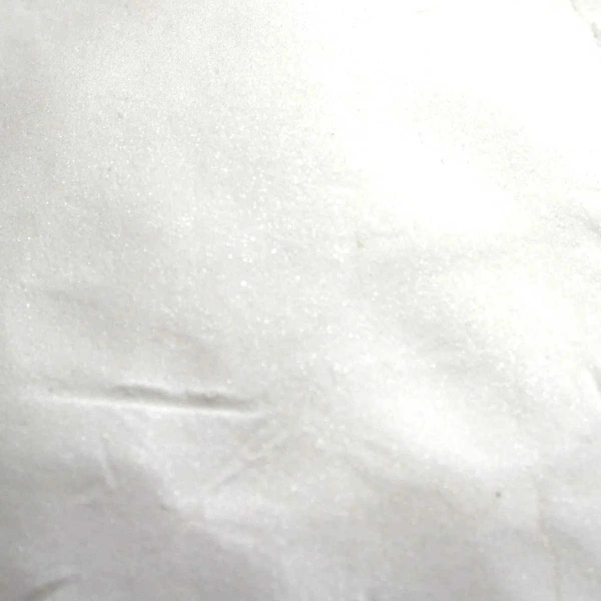 HALAMID - DAS ORIGINAL! CHLORAMIN-T - Professionelles Desinfektionsmittel gegen Viren, Bakterien, Pilze und einzellige Ektoparasiten, wie Giardien bei Hund und Katze, 1kg Eimer