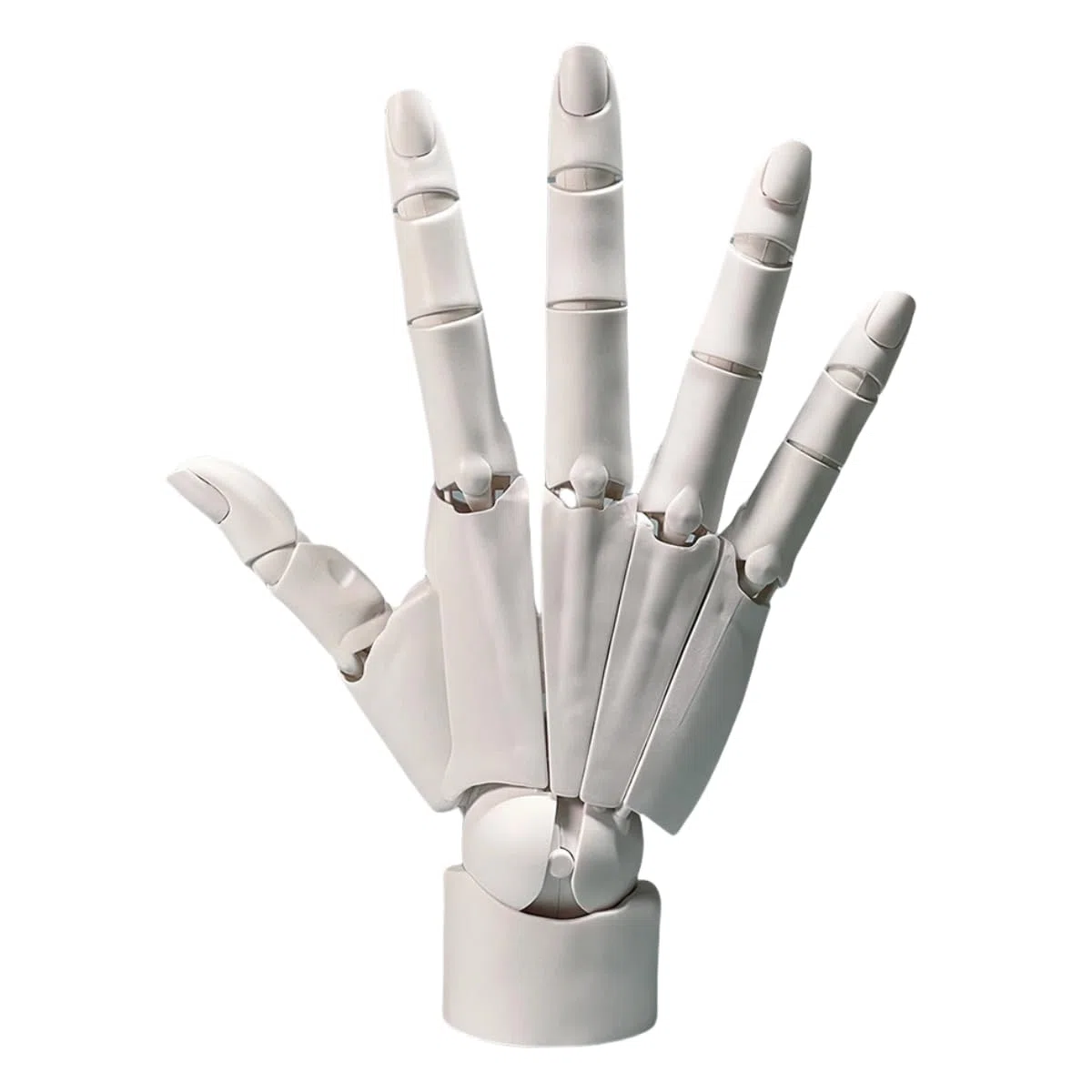 1:1 Flexible Right Hand Model, Joints Moveable Artists Manikin Hand Figure for Arts Drawing Sketching Painting Jewelry Display (White, one Size)