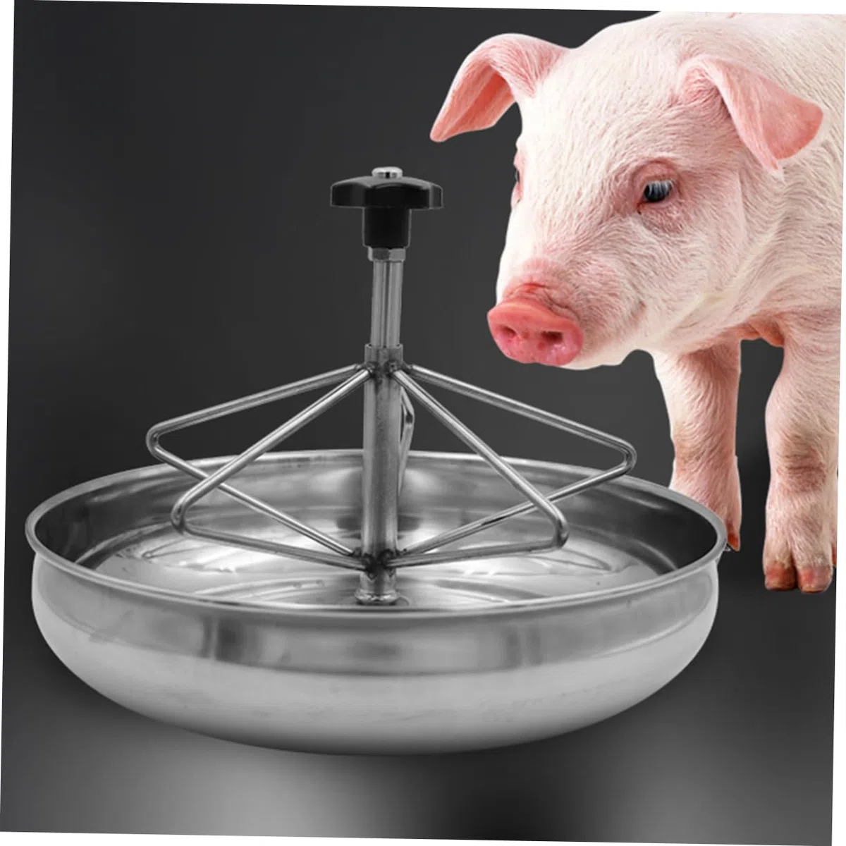 Futtertrog für Leicht zu Reinigen und Rostfrei für Einsatz dem Bauernhof mit Edelstahl Mehreren Fächern Schweine Kleine Haustiere