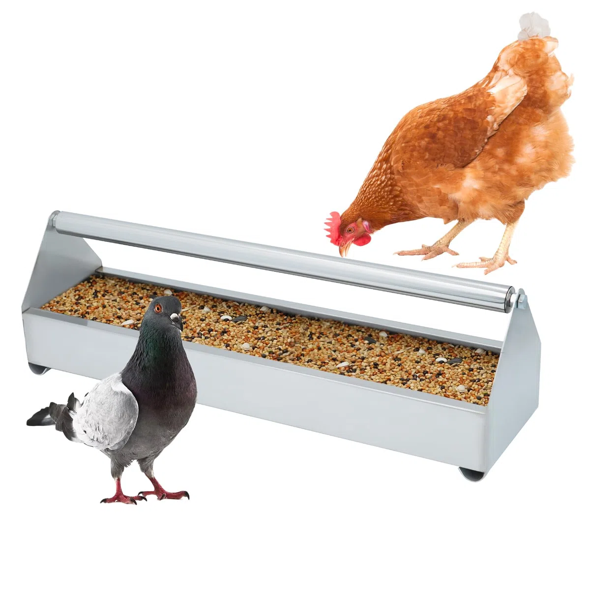 HüHner-Futterstation aus Robustem Edelstahl, Futterschale füR KüKen, Enten, Googse, Vogel, Tauben, Papageien, Zuhause, GeflüGel