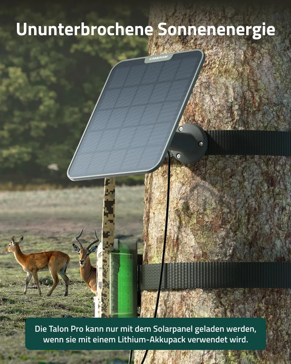 Solarpanel SP-10 für Wildkamera, Kompatibel Reolink Kameras, 6W Schnellladung für Nonstop-Stromversorgung, geeignet für den Außenbereich, Flexible Installation, IP65 Wetterfest