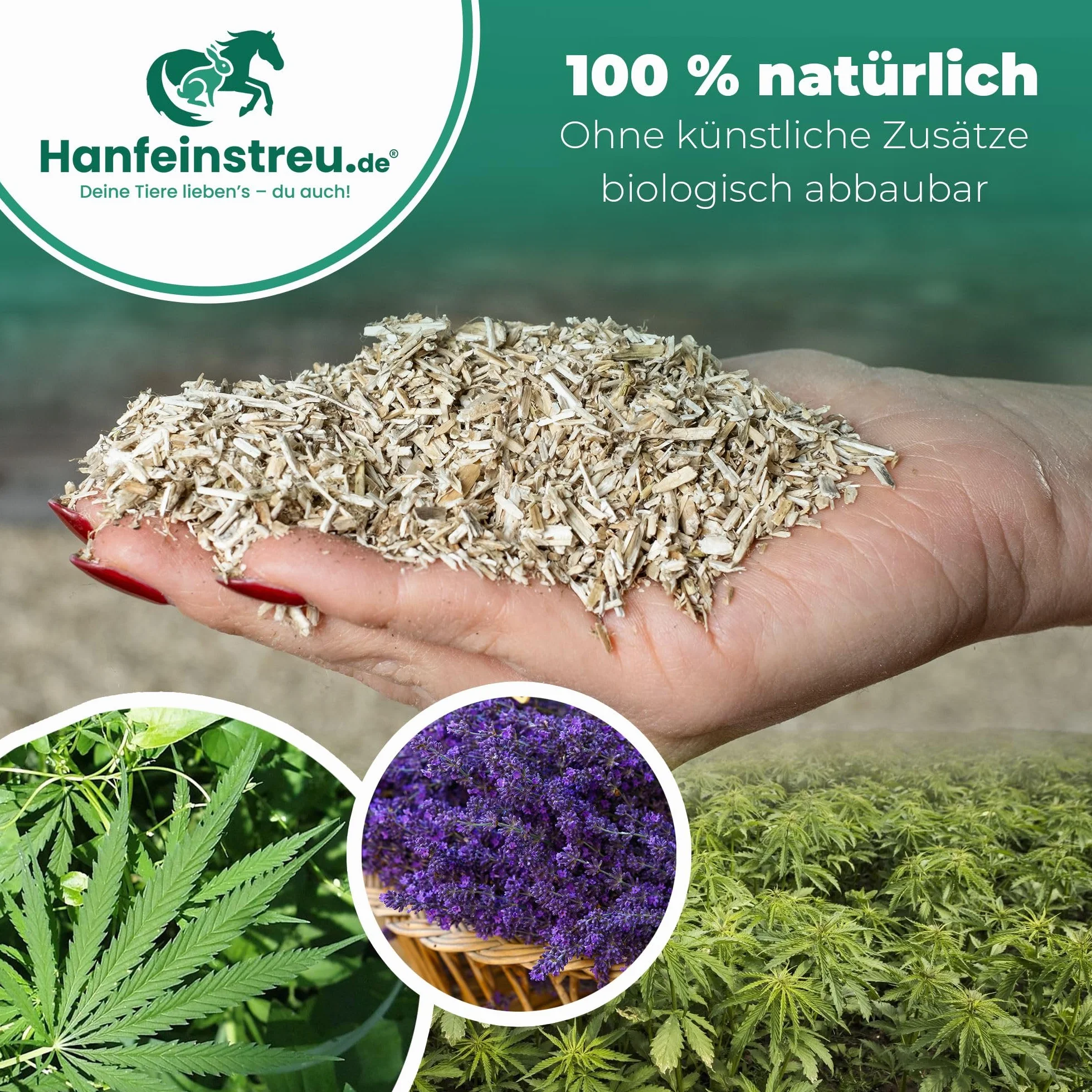 Hanfeinstreu mit Lavendel für Kleintiere, Hühner und Pferde, 140 Liter, 100% Naturprodukt, Extrem Saugfähig, Staubarm, Geruchsbindend, Nachhaltig und Langlebig