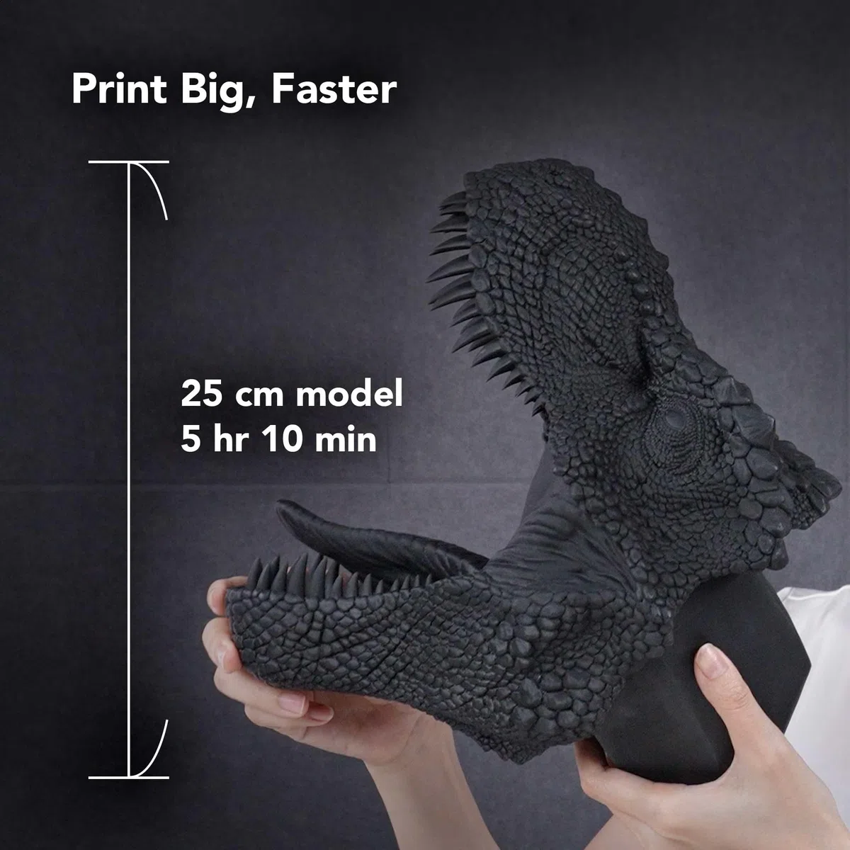 Phrozen Speed Plus Resin |Rapid Resin mit Hohe Präzision | 405nm Standard Photopolymer Druck Harz | 3D Drucker Resin für SLA/DLP/LCD 3D Printer - Schwarz (1kg)