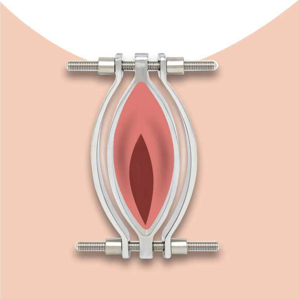 AMAZBEE Schamlippenspreitzer für Frauen aus Edelstahl Vaginal Spreizer für Spekulum Fetisch Klitoris Labienspange für Erwachsene SM-Sexspiele (1)