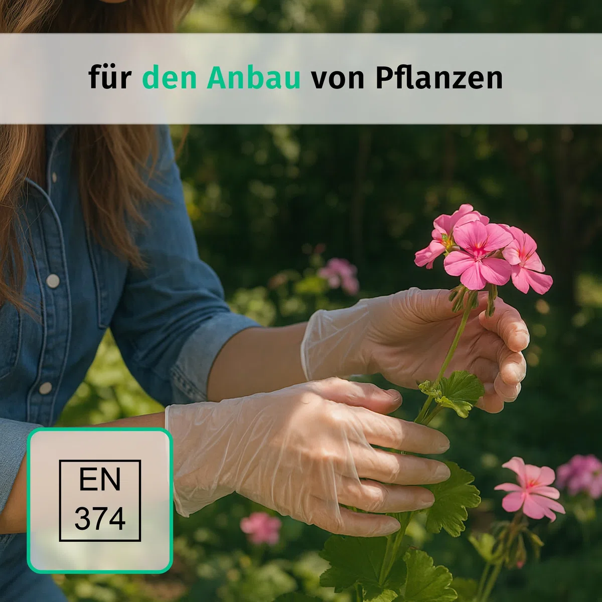 SF Einweghandschuhe M Transparent - 1000 Stück (10 Boxen) Vinylhandschuhe, Puderfrei, Latexfrei, Untersuchungshandschuhe, Putzhandschuhe, Gummihandschuhe für Medizin, Küche, Tattoo, Reinigung