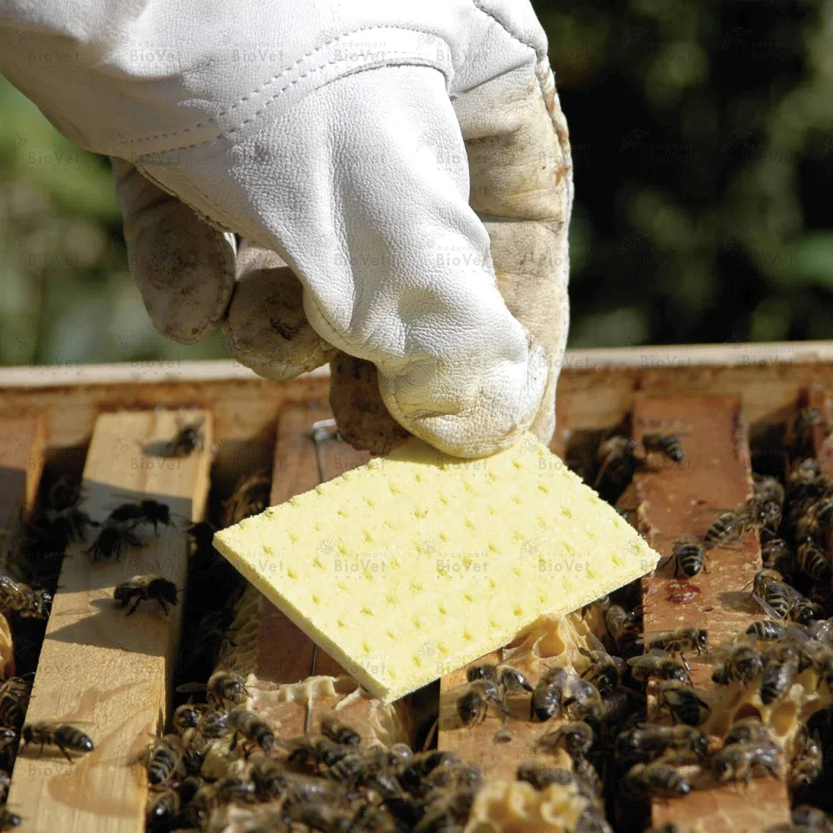 Andermatt BioVet Thymovar - Streifen zur Varroabehandlung bei Honigbienen