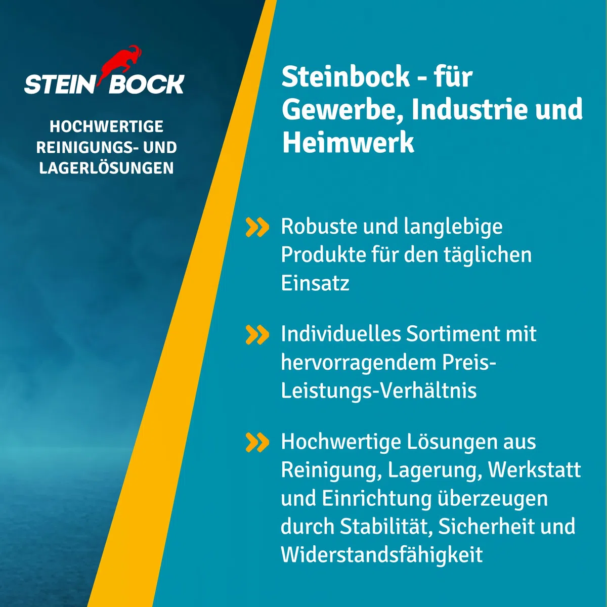 Steinbock Industriesauger nass & trocken| 3.300 Watt | 72 l Fassungsvermögen | mit 3 leistungsstarken Motoren | Für Flüssigkeiten, Feinstaub und groben Schmutz |Kippfahrgestell | Kunststofftank