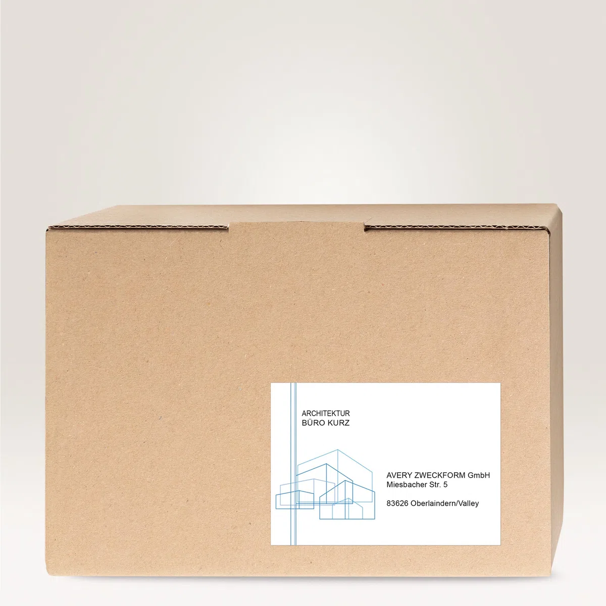 AVERY Zweckform 3655 Universal Etiketten (200 Klebeetiketten, 210x148mm auf A4, bedruckbare Versandetiketten, selbstklebende Versandaufkleber mit ultragrip, DHL) 100 Blatt, weiß