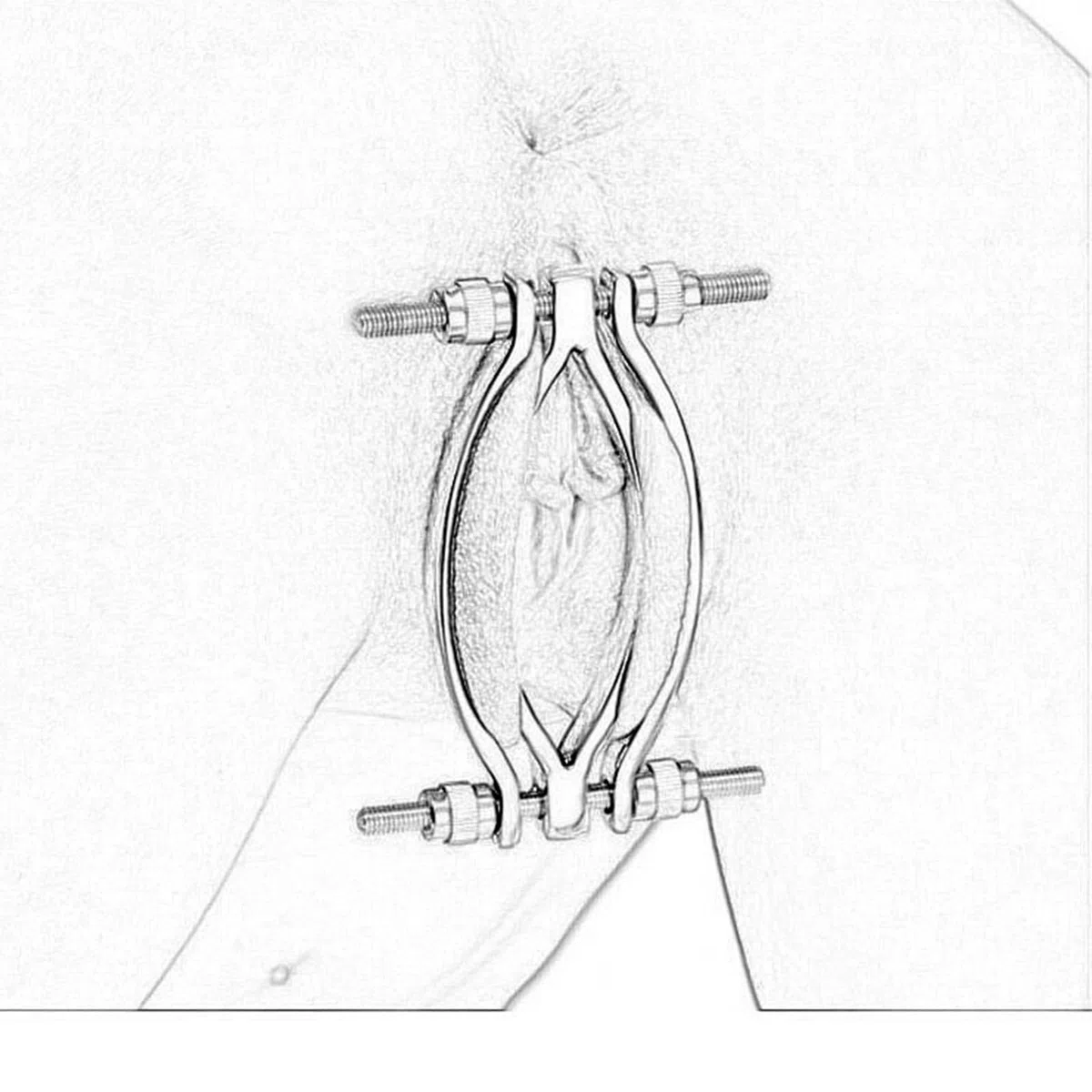 AMAZBEE Schamlippenspreitzer für Frauen aus Edelstahl Vaginal Spreizer für Spekulum Fetisch Klitoris Labienspange für Erwachsene SM-Sexspiele (1)