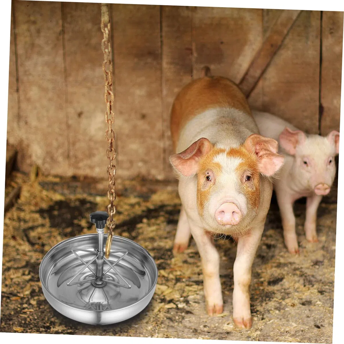 Futtertrog für Leicht zu Reinigen und Rostfrei für Einsatz dem Bauernhof mit Edelstahl Mehreren Fächern Schweine Kleine Haustiere