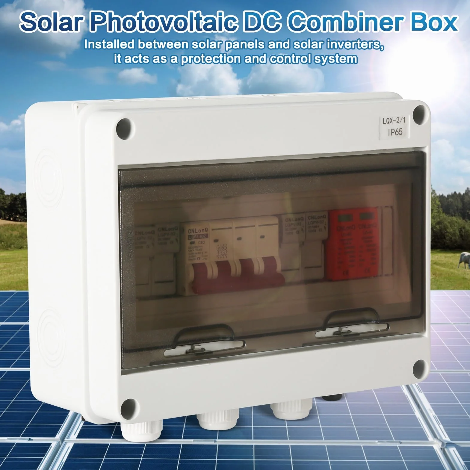 DEWIN Überspannungsschutz PV, Solar Anschlusskasten mit 63A DC Trennschalter 30A Sicherung Sicherungshalter 2 in 1 Out 2 String Outdoor IP65 Wasserdicht Blitzschutz für PV Anlage DC 1000V