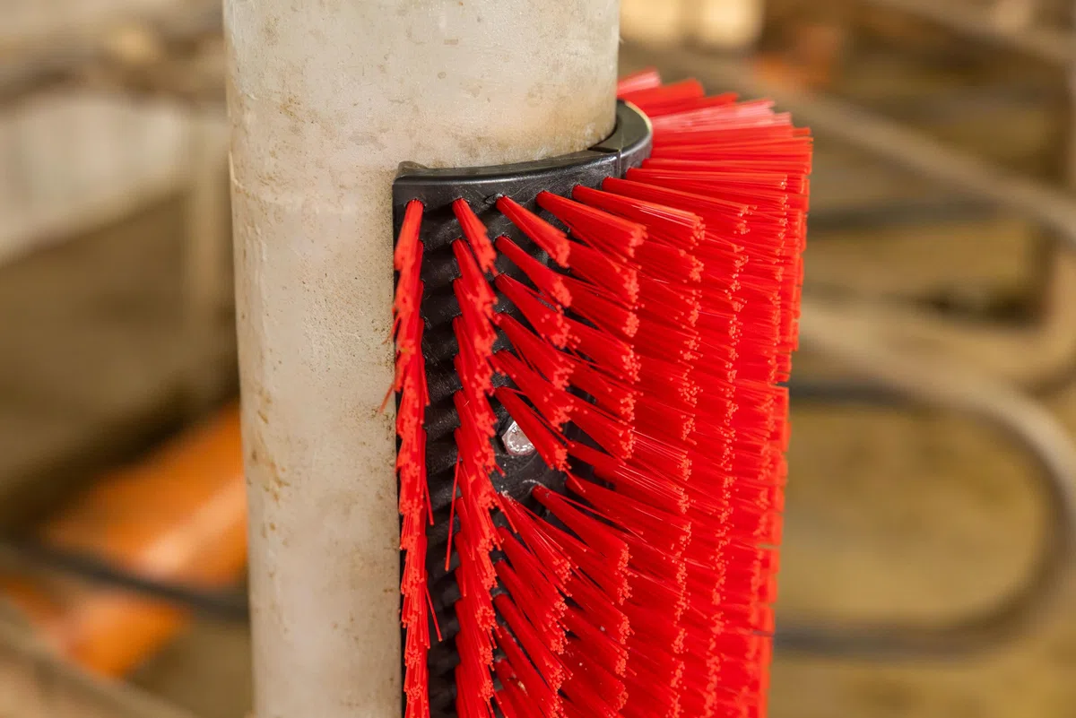 Kerbl Kratzbürste flexibel, Viehbürste, Rinderbürste, rot, 5,5cm Polyamidbürsten, 30x9,5x43cm, Rinder, Kälber, Pferde, Fellpflege, inkl. Befestigung