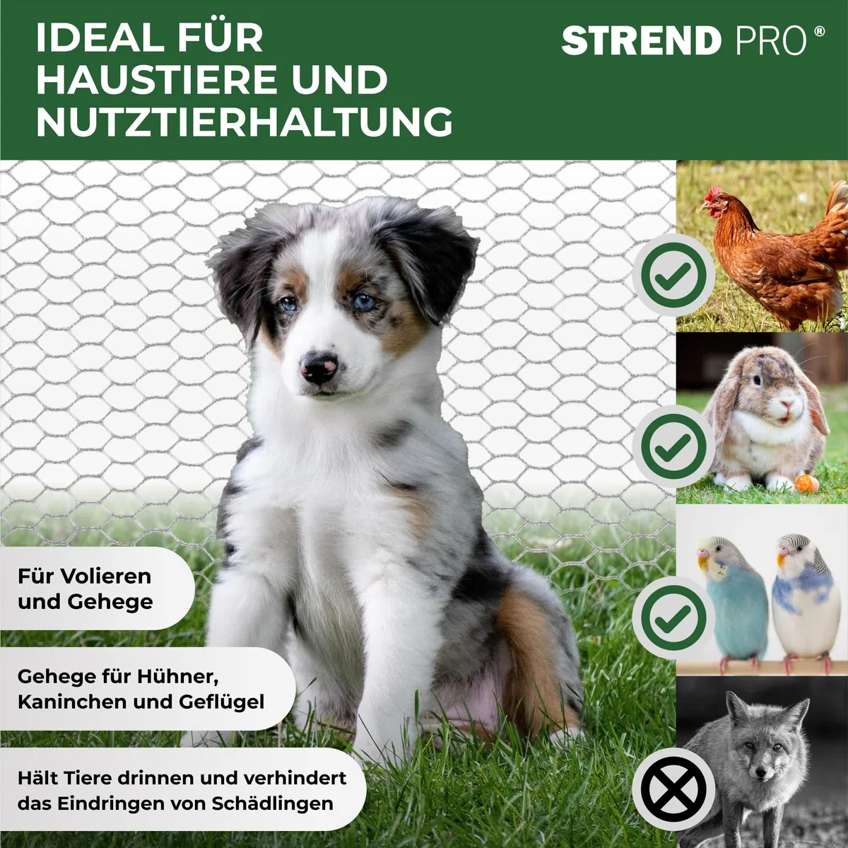 STREND PRO Maschendrahtzaun | Verzinkt | 1m x 50m | 0,7 mm, 13mm HEX | Kaninchendraht, Hasendraht, Volierendraht für Garten & Tierhaltung | Hasengitter, Hühnerzaun, Gartenzaun