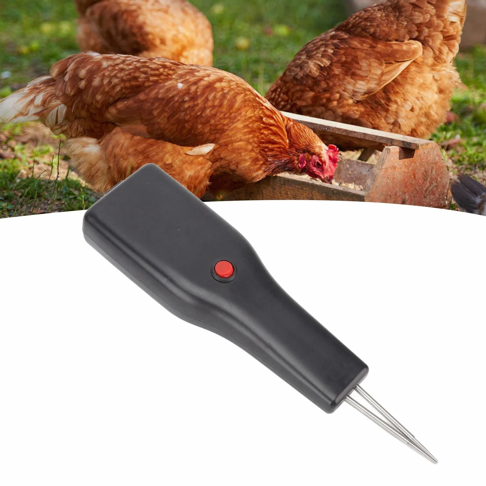 Focket Handgeführte Hühnerrupfmaschine, elektrische Federentfernung für Geflügel Ente Gans, Federzupfen Handgeführte elektrische Hühnerentfiederungsmaschine Geflügelrupfmaschine für Vogel