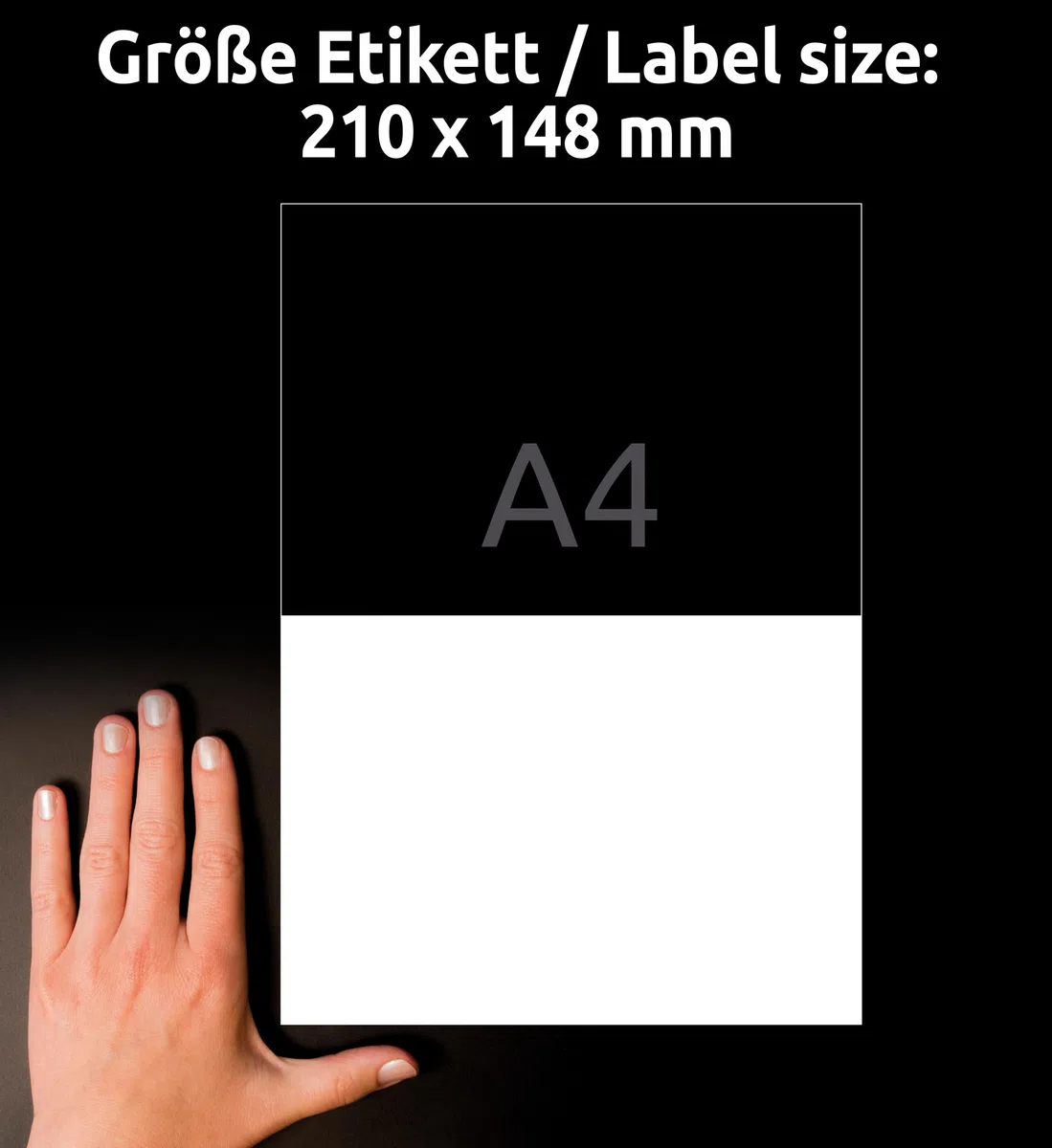 AVERY Zweckform 3655 Universal Etiketten (200 Klebeetiketten, 210x148mm auf A4, bedruckbare Versandetiketten, selbstklebende Versandaufkleber mit ultragrip, DHL) 100 Blatt, weiß