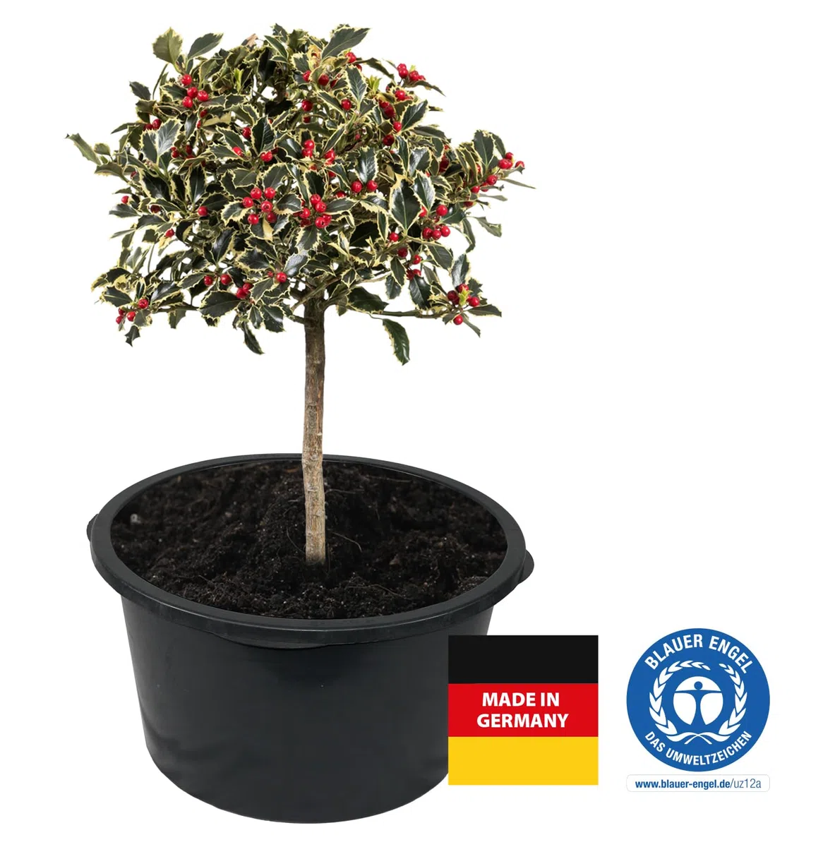 5 Stück Friesenthal Mörtelkübel, in 40L, Baukübel, Made in Germany - Blauer Engel