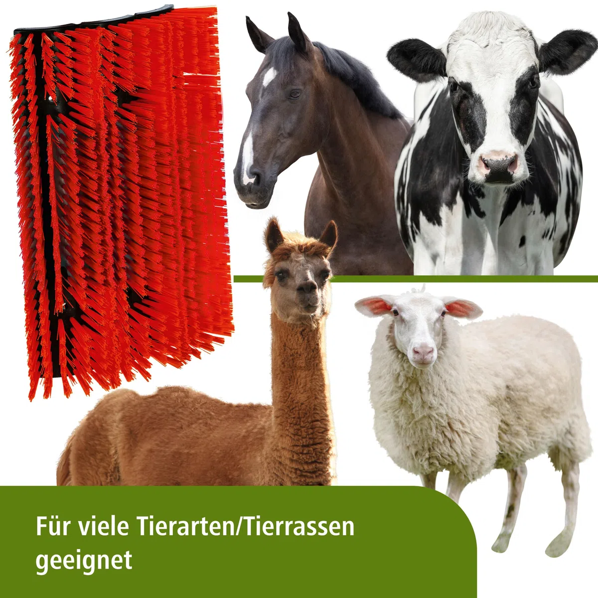 Kerbl Kratzbürste flexibel, Viehbürste, Rinderbürste, rot, 5,5cm Polyamidbürsten, 30x9,5x43cm, Rinder, Kälber, Pferde, Fellpflege, inkl. Befestigung
