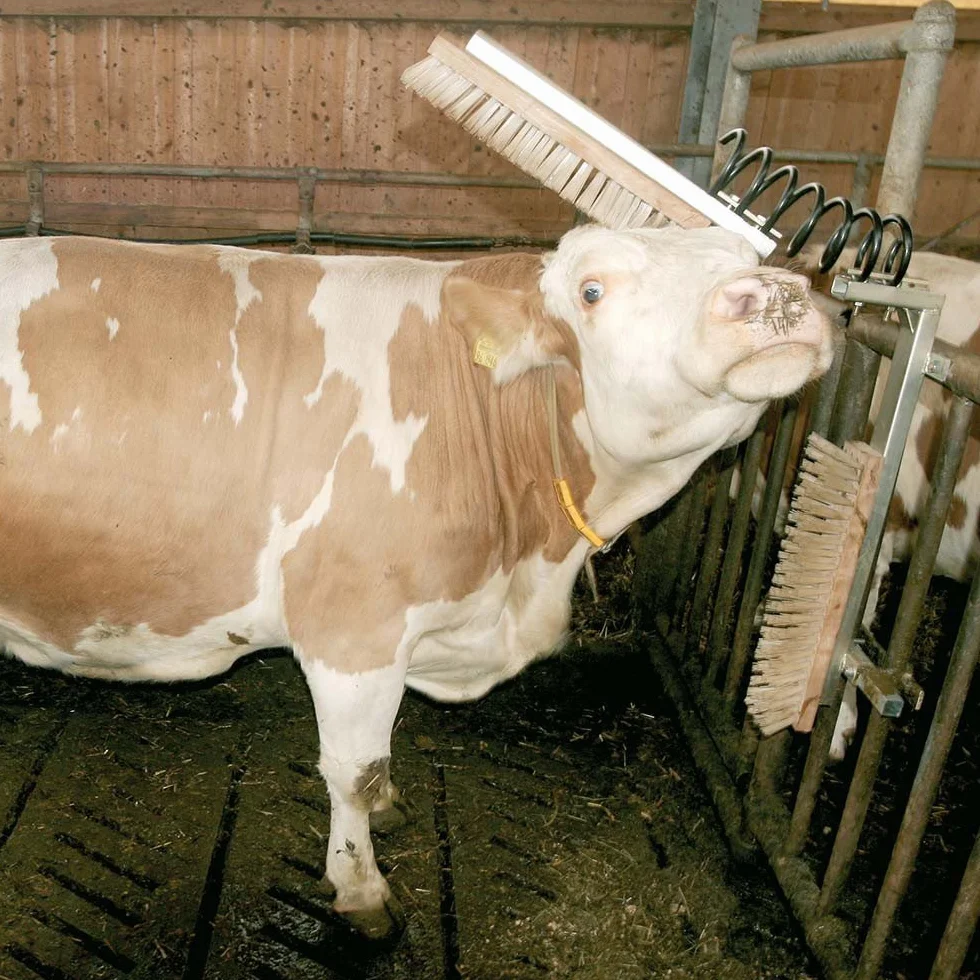 Kerbl Viehbürste TEXAS Bürste Tiere Kratzbürste Rinder Kühe Pferde Fellpflege