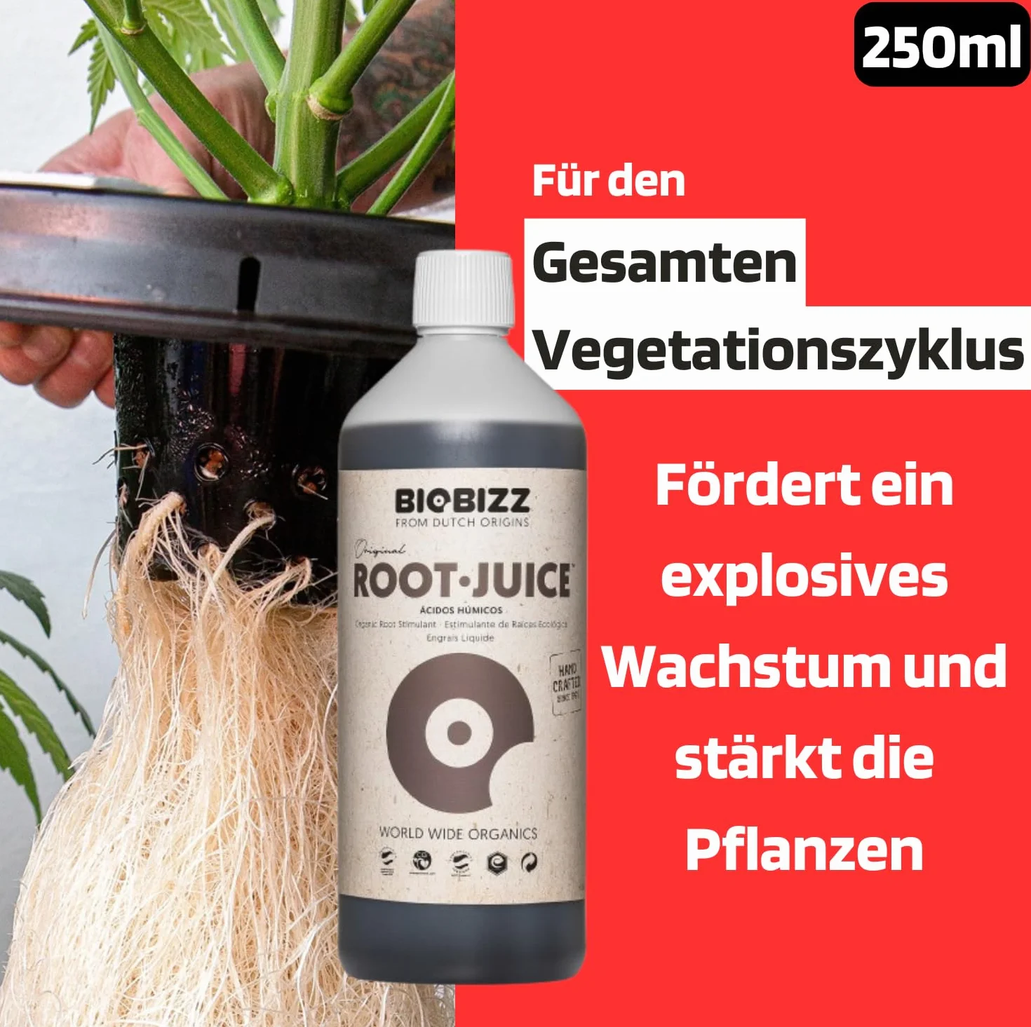 Starter Pack Biobizz Dünger Set | Pflanzendünger Starterset GrowSet Indoor | Naturdünger | Flüssiger